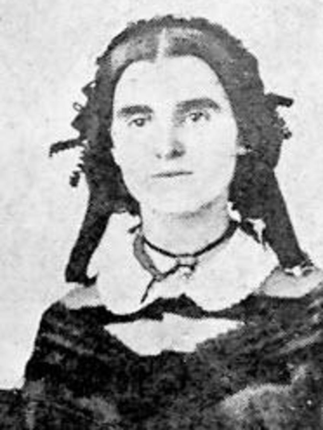 Julia Hill (1833 - 1895) Profile